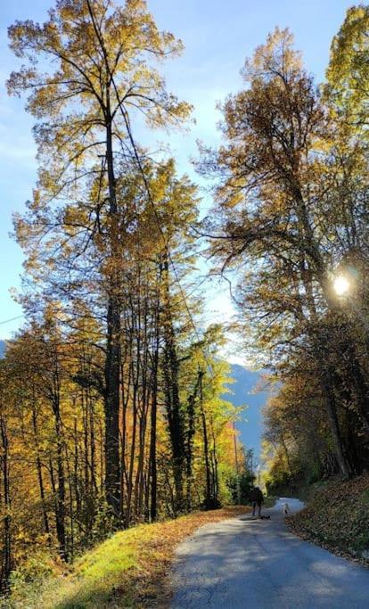 Casa Del Cios Calda E Intima Casetta Immersa Nel Verde Delle Montagne Alpe Basciumo Buitenkant foto