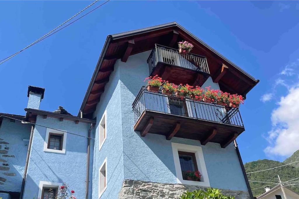 Casa Del Cios Calda E Intima Casetta Immersa Nel Verde Delle Montagne Alpe Basciumo Buitenkant foto