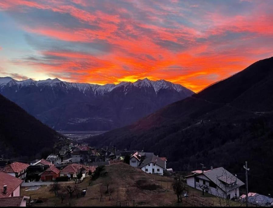 Casa Del Cios Calda E Intima Casetta Immersa Nel Verde Delle Montagne Alpe Basciumo Buitenkant foto