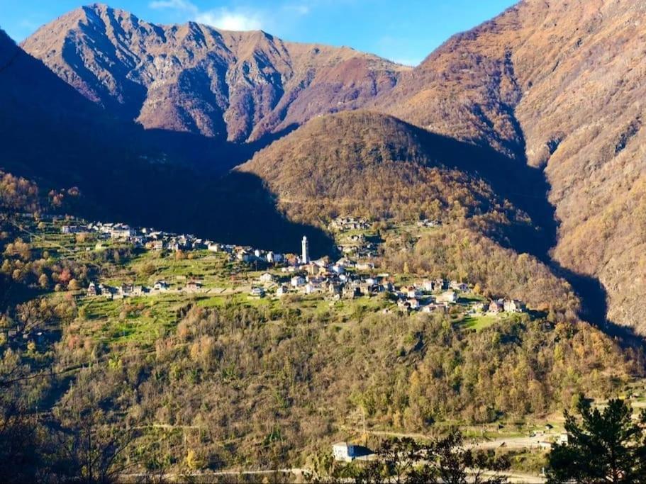 Casa Del Cios Calda E Intima Casetta Immersa Nel Verde Delle Montagne Alpe Basciumo Buitenkant foto