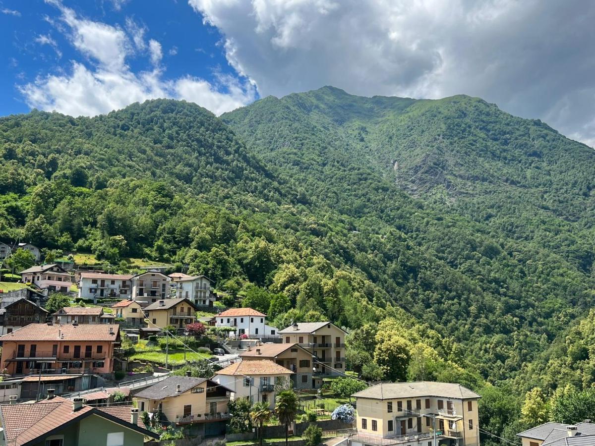 Casa Del Cios Calda E Intima Casetta Immersa Nel Verde Delle Montagne Alpe Basciumo Buitenkant foto